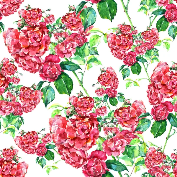Гілка Червоних Троянд Квіткова Ілюстрація — стокове фото