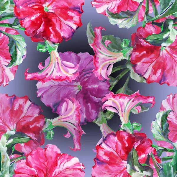 Pink Petunia Gouache Seamless Pattern Blue Background — Stock Photo, Image