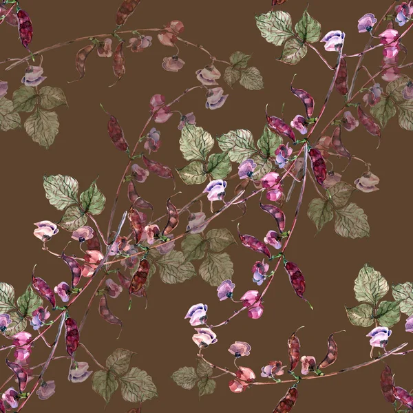 Aquarel Bloemen Haricot Naadloze Patroon Een Verdraagbaarheid Achtergrond — Stockfoto