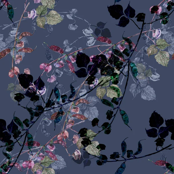 Akvarell Virágok Paszuly Finom Mező Virágok Varrat Nélküli Mintát Sötét — Stock Fotó