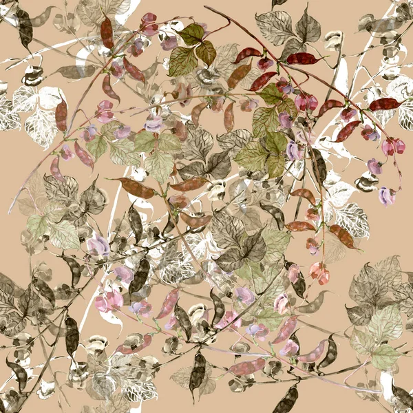 Watercolor Flowers Haricot Delicate Field Flowers Seamless Pattern Ginger Root — Stock Photo, Image