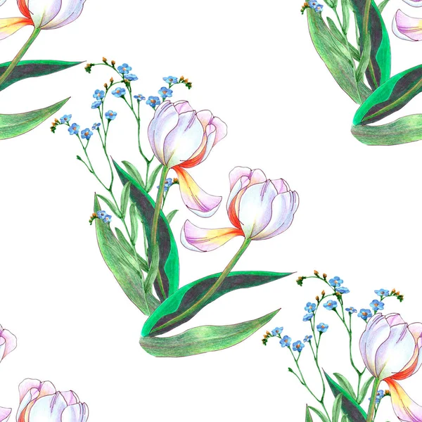 Akvarell Tavaszi Virágok Tulipán Vadvirágok Fehér Háttérrel Virágos Zökkenőmentes Minta — Stock Fotó