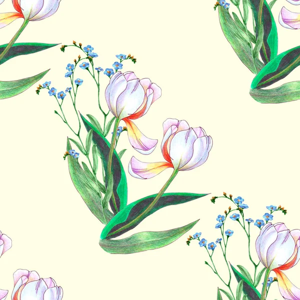 Akvarell Tavaszi Virágok Tulipán Vadvirágok Krém Háttér Virágos Zökkenőmentes Minta — Stock Fotó
