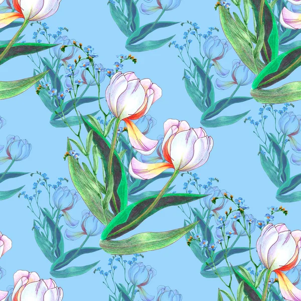 Watercolor Spring Flowers Tulip Wildflowers Blue Background Floral Seamless Pattern — ストック写真