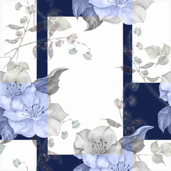 Watercolor Spring Flowers Haricot Flowers Floral Seamless Pattern Frame Background — 스톡 사진