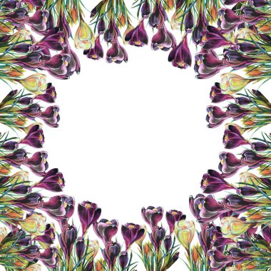 Crocus renkli kalemler. Kare dekorasyon için resim.