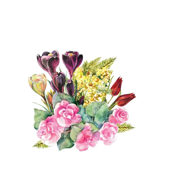 Aquarel Lente Bloemen Met Krokus Gekleurde Potloden Illustratie Voor Decoratie — Stockfoto