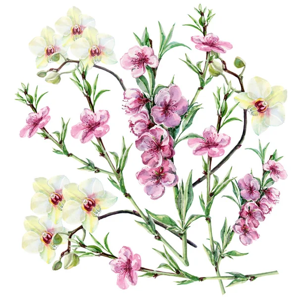 Pêche Fleur Aquarelle Avec Orchidée Blanche Illustration Bouquet — Photo