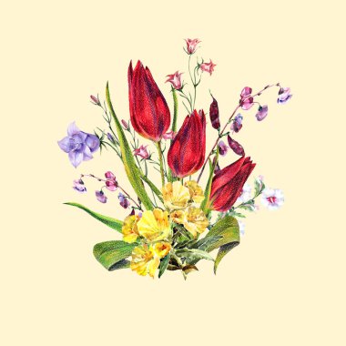 Bahar çiçekleri suluboya. Bej arka planda çiçek illüstrasyonu.