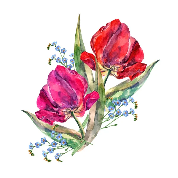 Watercolor Spring Tulips Blue Flowers Illustration Bouquet — Stock Photo, Image