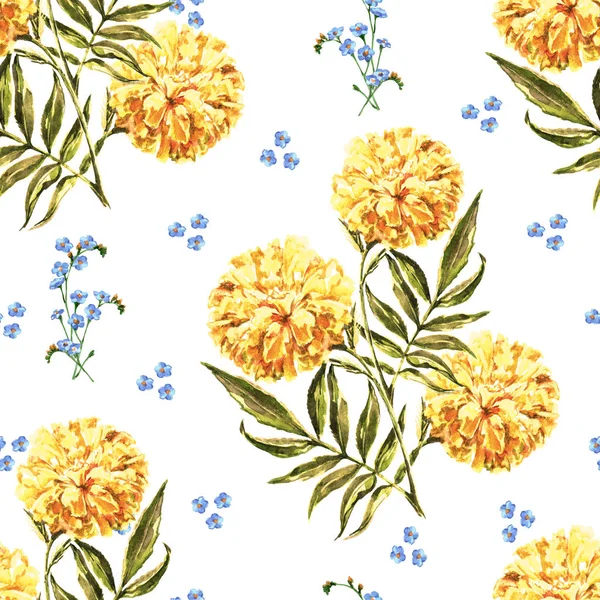 Watercolor Marigold Blue Wildflower White Background Floral Seamless Pattern — Stock Photo, Image