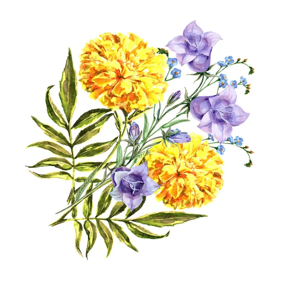 Akvarell Äng Blommor Vit Bakgrund Blommig Illustration — Stockfoto