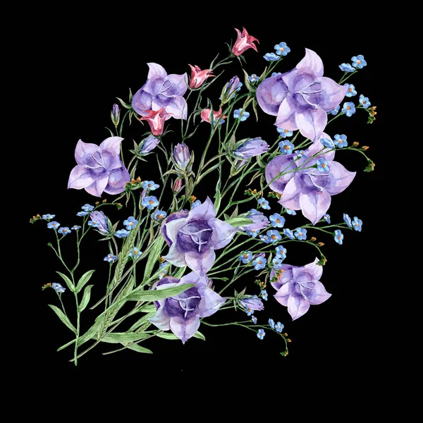 Akwarelowe Kwiaty Łąki Bukiet Dzwoneczki Dzikimi Kwiatami Czarnym Tle Ilustracja — Zdjęcie stockowe
