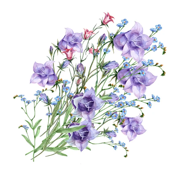 Watercolor Meadow Flowers Bouquet Bellflowers Wildflowers White Background Floral Illustration — Stock Photo, Image