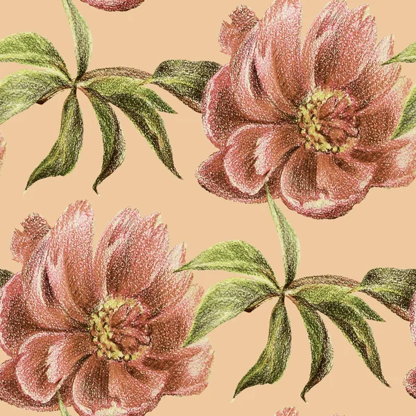 牡丹色の鉛筆を分岐します ベージュ地の花のシームレスなパターン — ストック写真