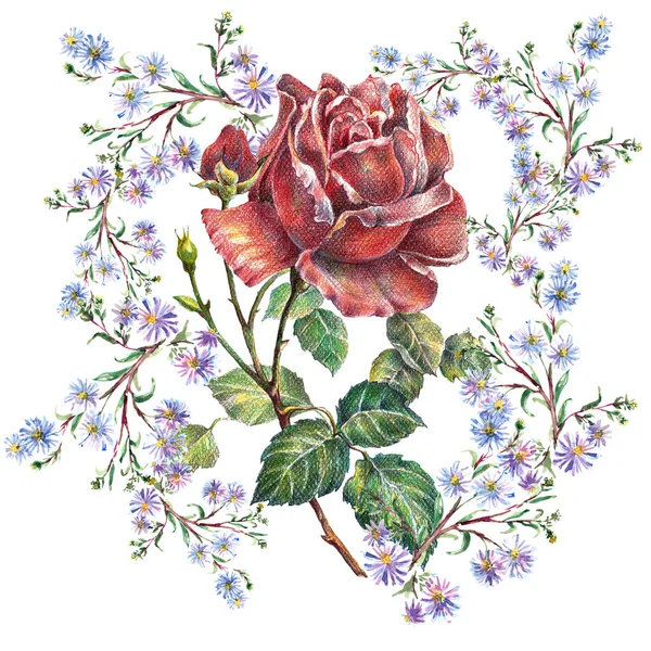 Rød Rose Farvede Blyanter Med Blå Vilde Blomster Illustration Buket - Stock-foto