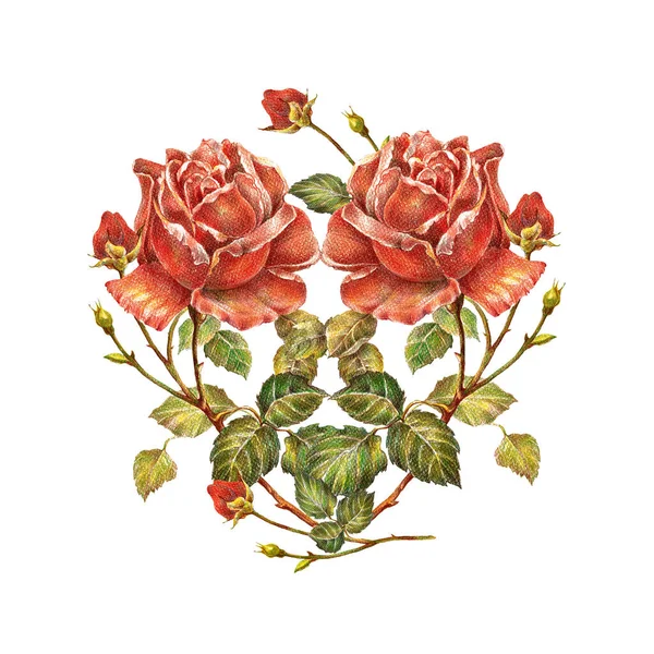 Rose Rosse Matite Colorate Mazzo Fiori Decorare Vostra Carta Illustrazione — Foto Stock