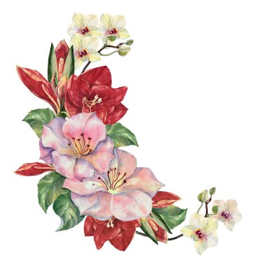 Suluboya bahar çiçekleri kırmızı amililler, beyaz orkide ve beyaz arka planda pembe çiçekler. Çiçek köşesi..