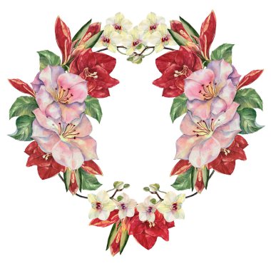 Suluboya bahar çiçekleri kırmızı amililler, beyaz orkide ve beyaz arka planda pembe çiçekler. Çiçek çelengi.