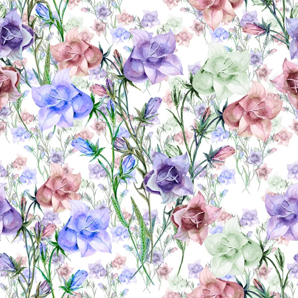 Aquarelle Fleurs Cloche Colorées Fleurs Prairie Sur Fond Blanc Motif — Photo
