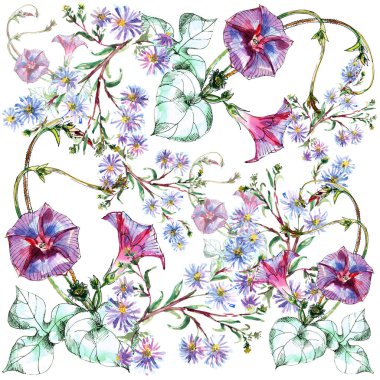 Beyaz arka planda suluboya çayır çiçekleri. Bağdaştırıcı otlu mavi çiçekler .