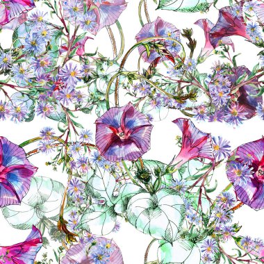 Beyaz arka planda suluboya çayır çiçekleri. Dikensiz desenli mavi çiçekler. .