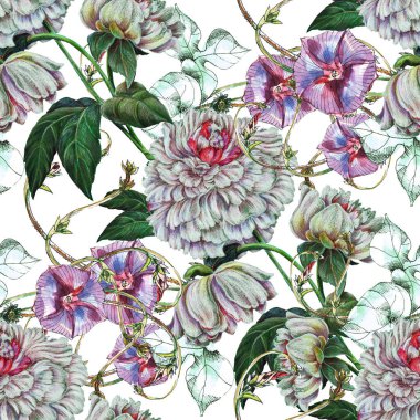 Beyaz arka planda beyaz şakayıklı mor renkli bağcık otu. Kumaş ve kağıt için çiçeksiz desen.