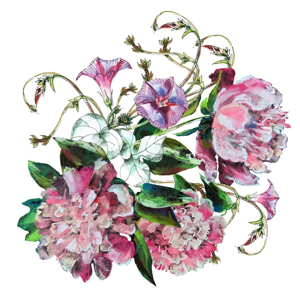 Aquarellblumen Bindweed Mit Pfingstrose Auf Weißem Hintergrund Frühling Florale Nahtlose — Stockfoto