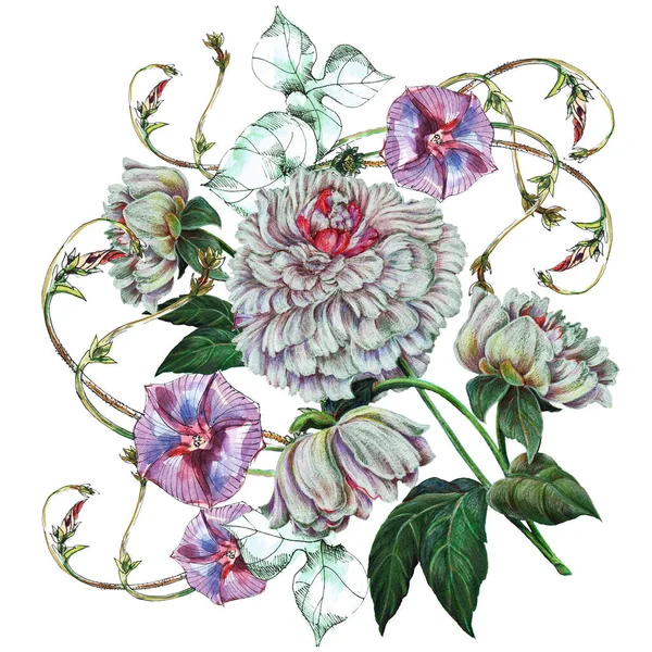 Akvarell Violett Ogräs Med Vit Pion Vit Bakgrund Blommig Illustration — Stockfoto