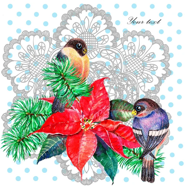 Bird Flower Poinsettia Openwork Painting Watercolor Holiday Illustration — Stock Photo, Image
