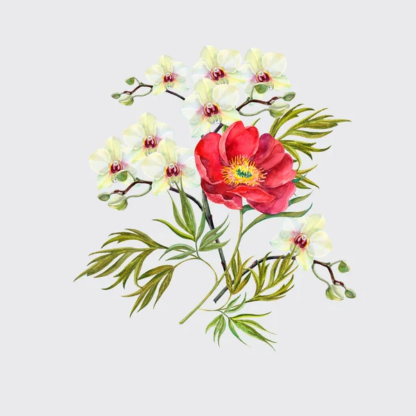 Akvarell Bukett Blommor Orkidé Med Pion Grå Bakgrund Blommig Illustration — Stockfoto