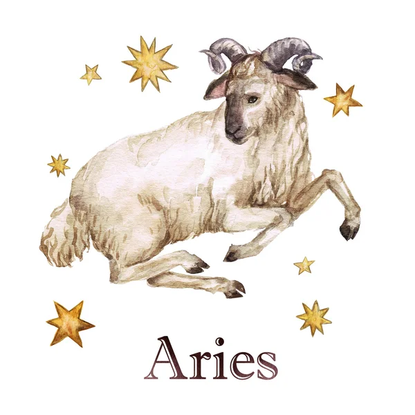 Signo del zodíaco - Aries. Ilustración de acuarela. Aislado —  Fotos de Stock