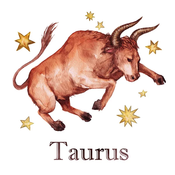 Semn zodiacal - Taur. Ilustrație de acuarelă . — Fotografie, imagine de stoc