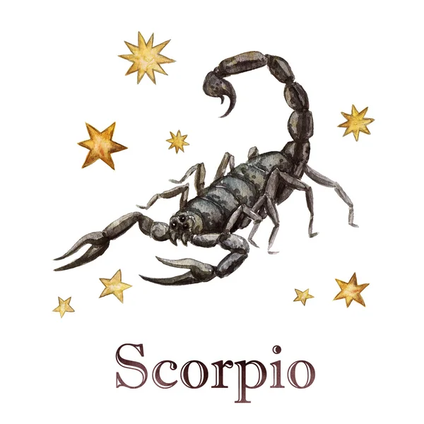 Signo del zodíaco - Escorpio. Ilustración de acuarela . Imagen De Stock