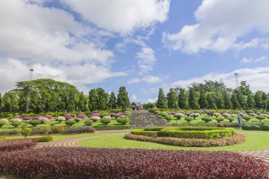 çiçek bahçesi içinde Chiang Rai
