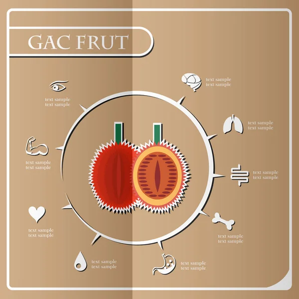 GAC frut infografiky, ovoce. Vektorové ilustrace. — Stockový vektor