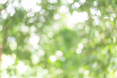 ufuk arka planda park