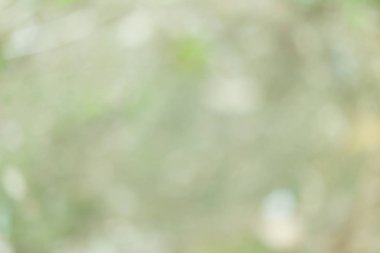 ufuk arka planda park