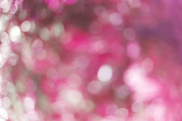 Defocused abstract pink background — Stock Photo, Image
