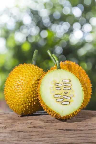 Gac Frucht vor dem Hintergrund der Natur — Stockfoto