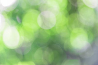 ufuk arka planda park