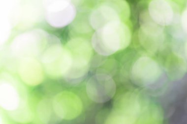 ufuk arka planda park