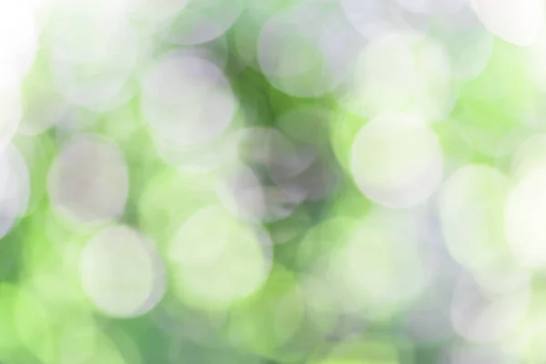 Defocused background in park — Stock Photo, Image