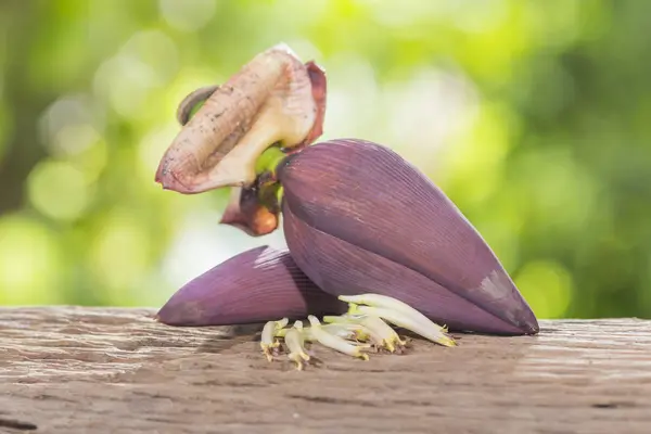 Bananenblüte vor dem Hintergrund der Natur — Stockfoto