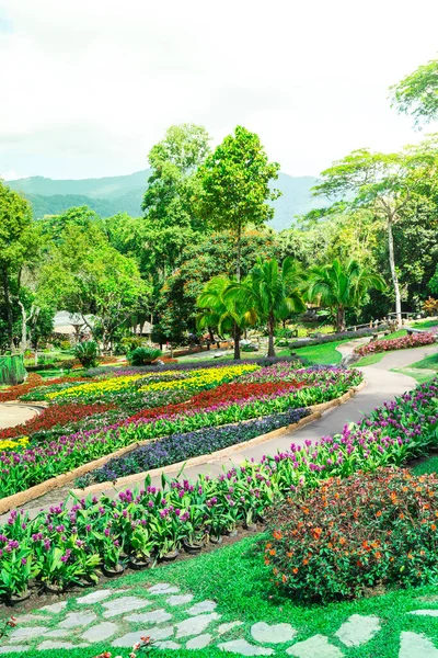 Flores Jardim Mae Fah Luang Jardim — Fotografia de Stock