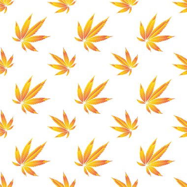 Kusursuz marihuana deseni, Vektör illüstrasyonu.