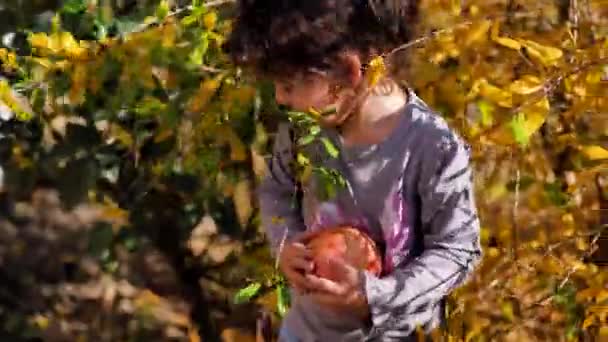 Een klein meisje plukt een granaatappel van een Bush — Stockvideo