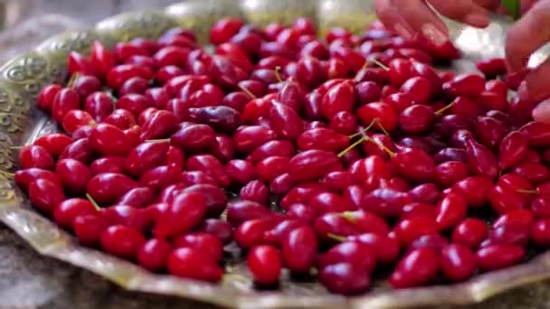 A young girl was collecting dogwood in a copper tray — Stockvideo