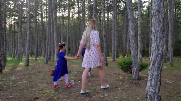 Mladá matka se synem a dcerou procházející borovým lesem — Stock video