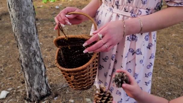 Mladá matka se svým synem a dcerou sbírat borovicové šišky — Stock video